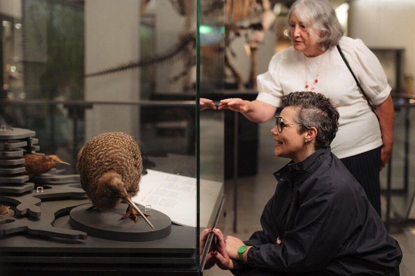 Skip the Line: Auckland Museum General Admission Ticket 4