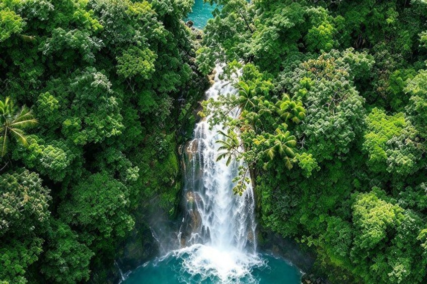 Een waterval omgeven door dicht groen bos. 1