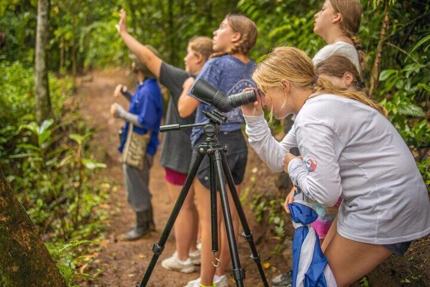 People using binoculars and a camera on a tripod in a forest. 1