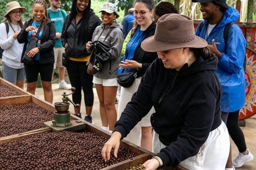 People examining coffee beans in wooden bins. 5