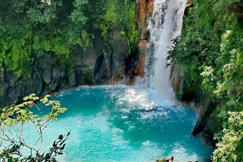 Private Excursion to Tenorio Volcano Sloths and Coffee Experience 1
