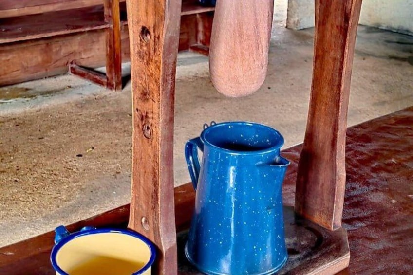 Private Excursion to Tenorio Volcano Sloths and Coffee Experience 2