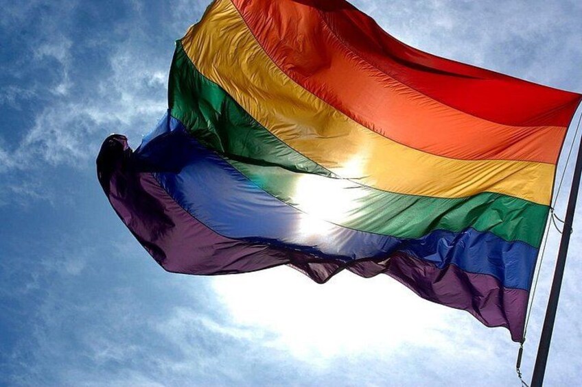 Gay pride flag 1