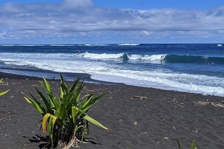 Une plage avec des vagues, un ciel dégagé et quelques plantes. 3