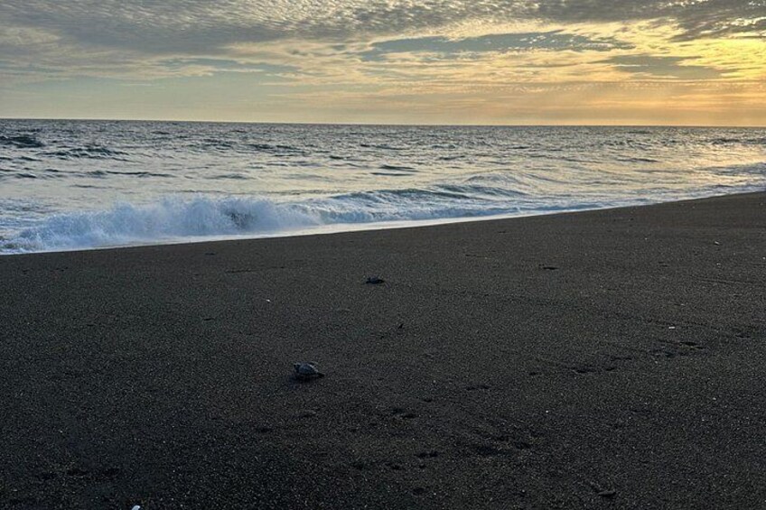 Une plage où l’on voit des empreintes de pas menant à l’eau, avec un coucher de soleil en arrière-plan. 2