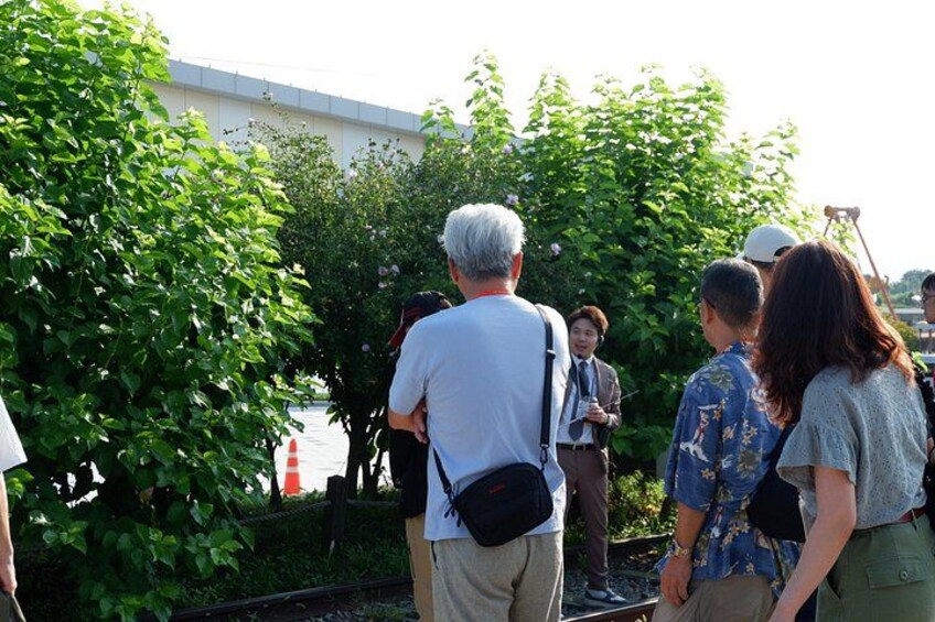 2026 Travelers’ Choice Best of the Best: DMZ Tour from Seoul 2