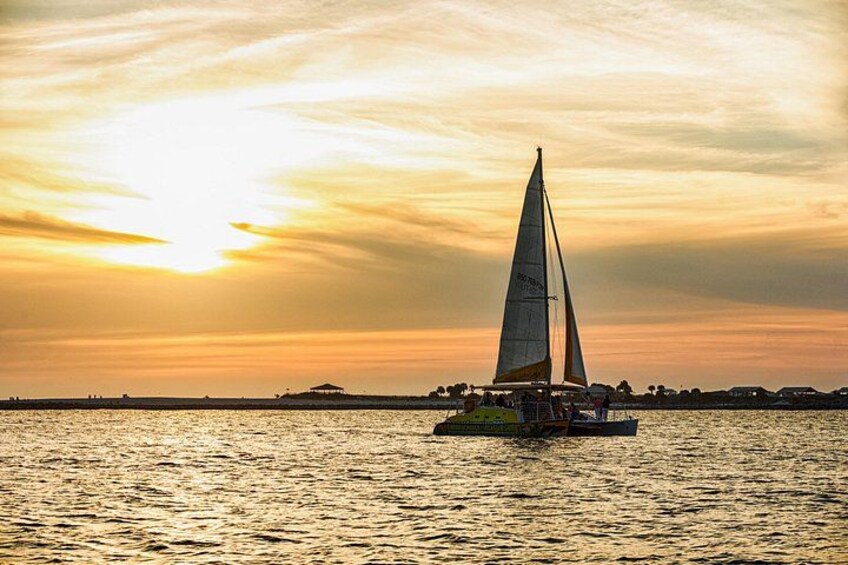 Sunset Dolphin Sail Aboard the Footloose Catamaran 1