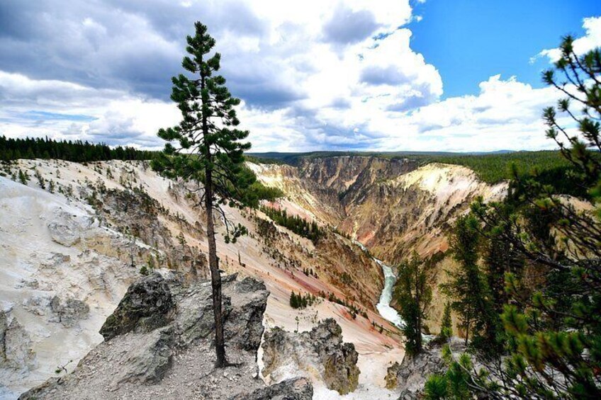 Een canyon met een rivier, een enkele boom en een heldere lucht. 3