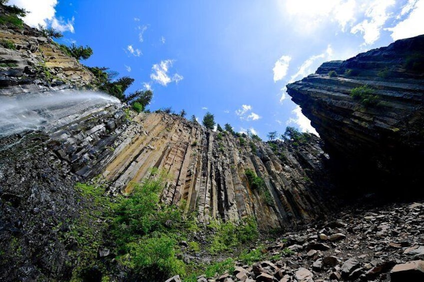 Private Yellowstone Wildlife Safari with guided hikes. Picnic Lunch included!