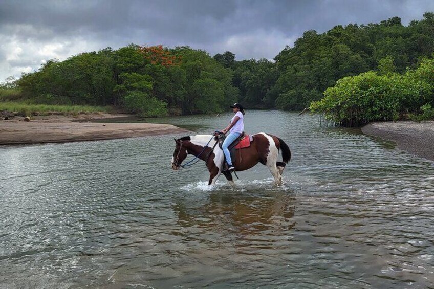 A person riding a horse through a river surrounded by dense greenery. 5