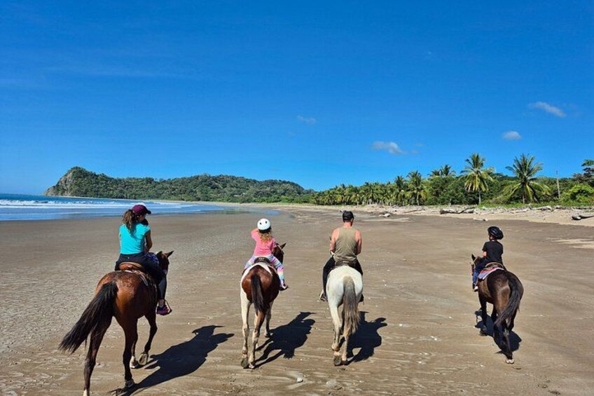 Four people riding horses on a beach with a clear sky and palm trees in the background. 3