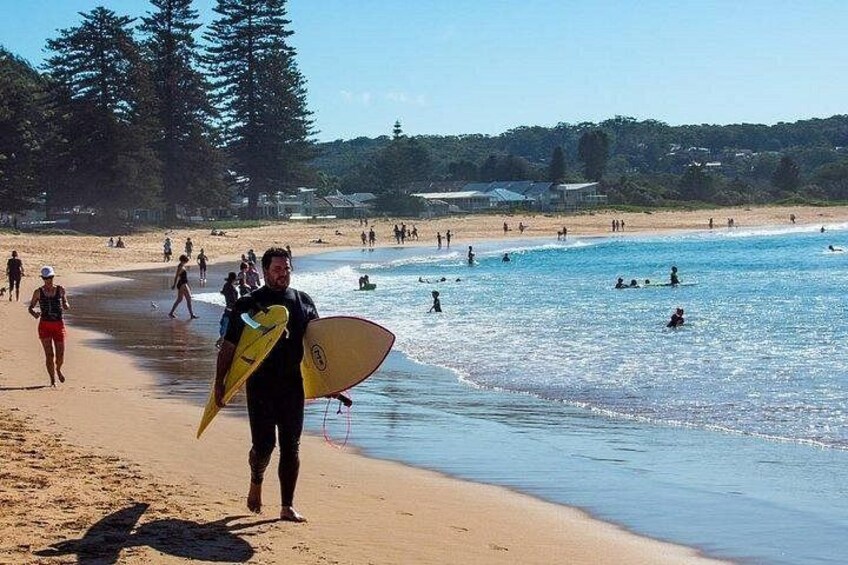 A beach with people walking and surfing, trees, and buildings in the background. 3