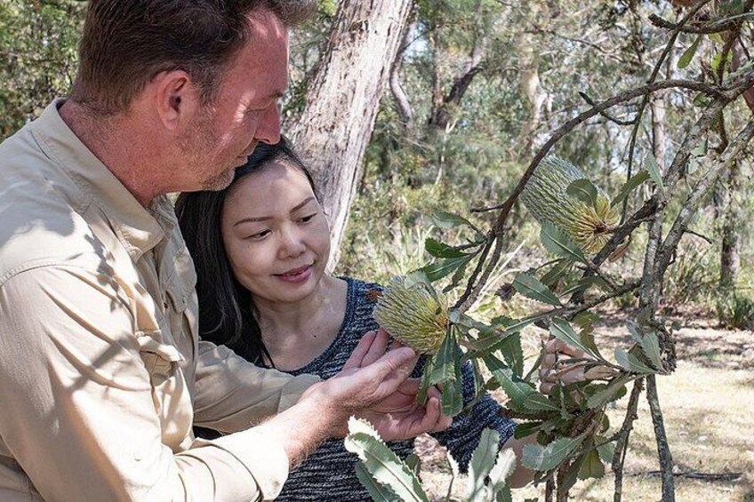 Botanical Wisdom Unveiled: Journey into Australia's Native Flora with a Local Knowledgable Guide 4