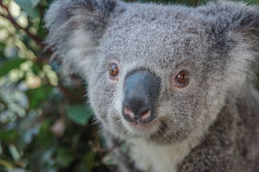 Nature & Wildlife: Australia's Hidden Side, Private Tour 2