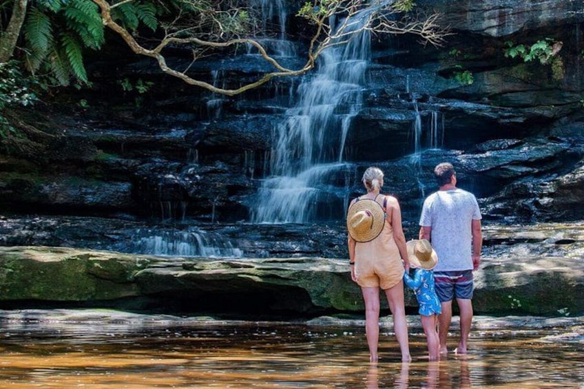 Nature's Family Oasis: Create Lasting Memories near the Enchanting Waterfall 5