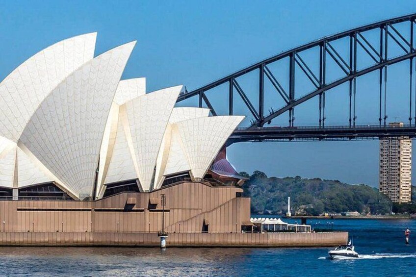 Iconic Elegance: The Sydney Opera House Beckons from Mrs MacQuaries Chair 3