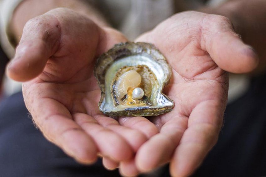 A person holding an oyster with a pearl inside. 3