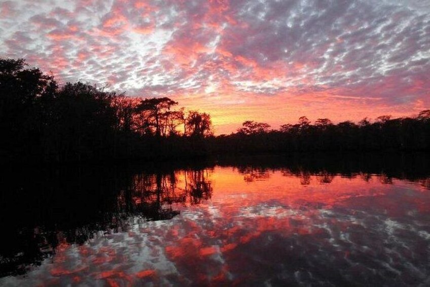 Waccamaw River Nature and Wildlife Tour 2