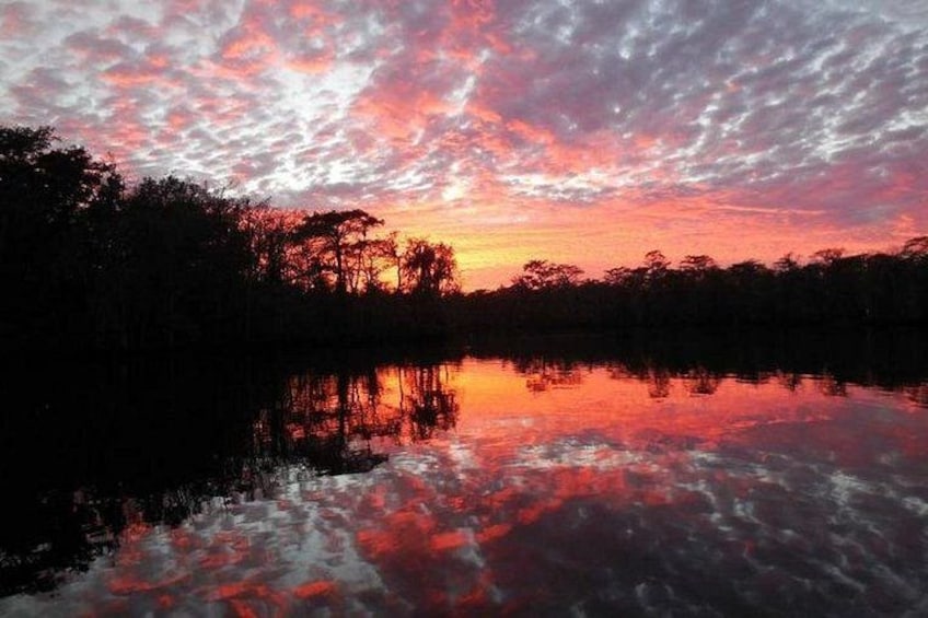 A sunset over a calm body of water with trees silhouetted against the sky. 2