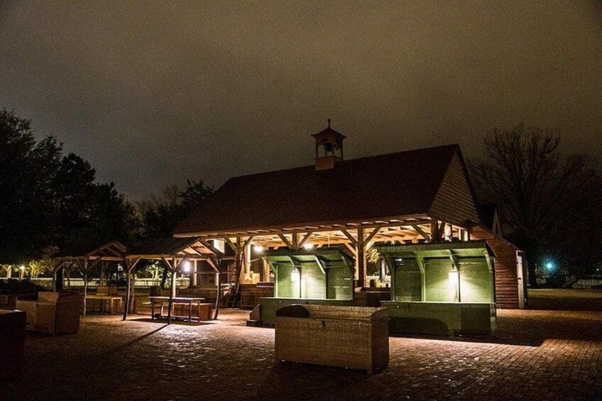 Haunted tales come to life in the dead of night, promising thrills and shivers aplenty. 3