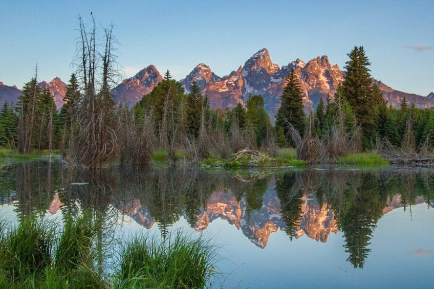 A mountain range reflected in a calm lake with trees in the foreground. 1