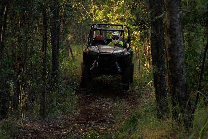 Maui: Lahaina ATV Adventure 5
