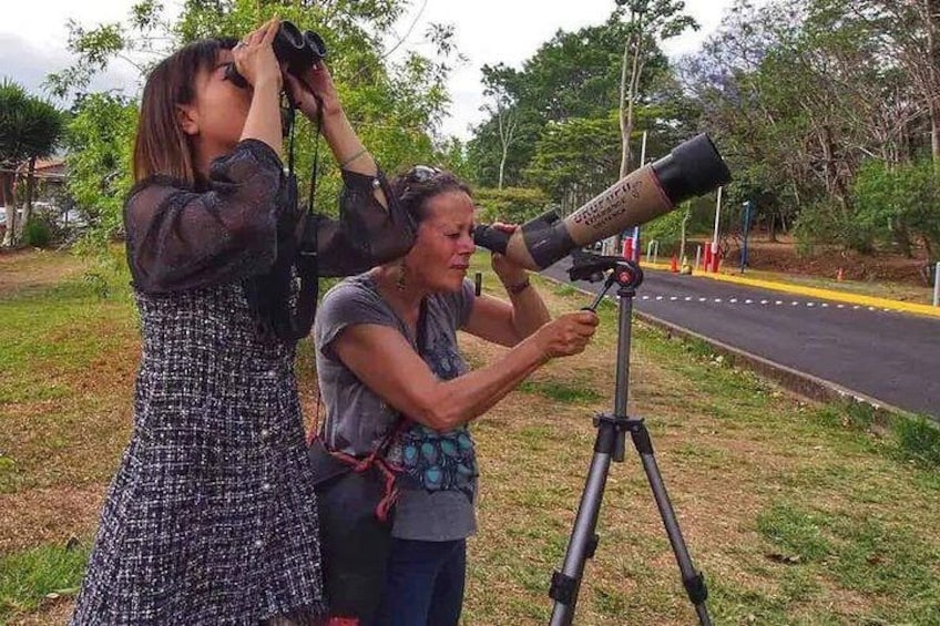 Dos personas usando un telescopio en un área verde con árboles y una carretera al fondo. 2
