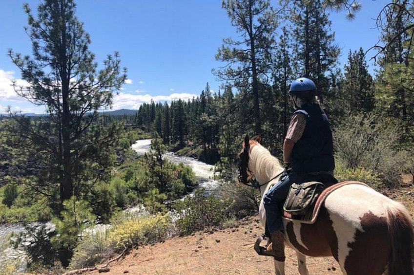 A person riding a horse along a dirt path with a river and forest in the background. 1