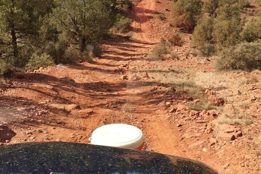 A dirt road with tire tracks, surrounded by sparse vegetation and trees. 3