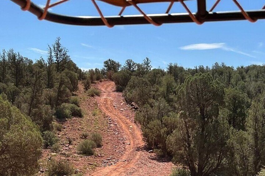 A dirt road winding through a forested area. 1