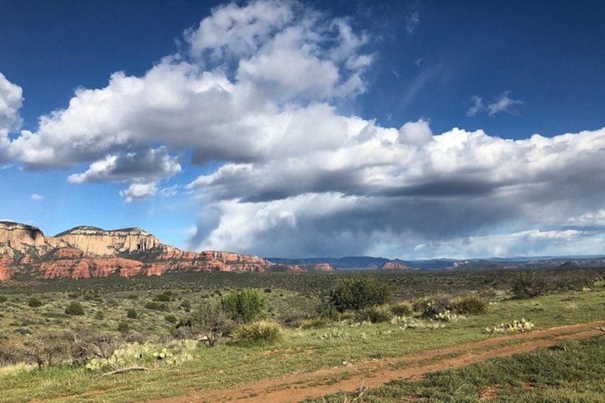 Sedona Off-Road Jeep Tour: Rugged Western Canyons & Wildlife 2