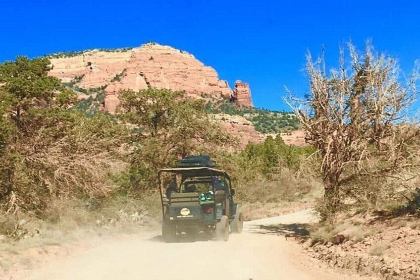 Sedona Off-Road Jeep Tour: Rugged Western Canyons & Wildlife 2