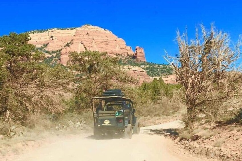 Sedona Off-Road Jeep Tour: Rugged Western Canyons & Wildlife 2