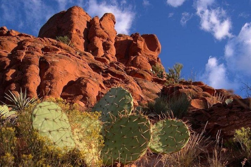 The Outback 2
