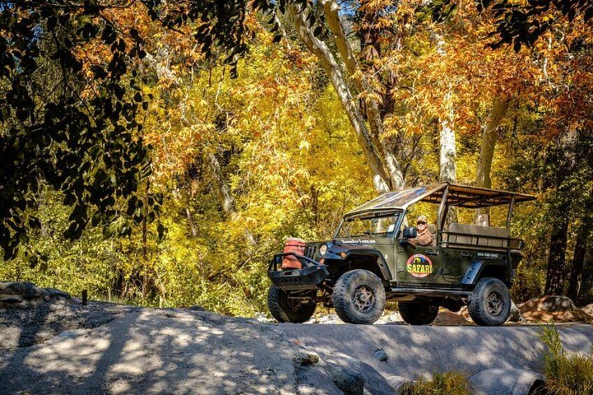 Oak Creek Canyon Scenic Jeep Tour: Smooth Route 89A Views 5