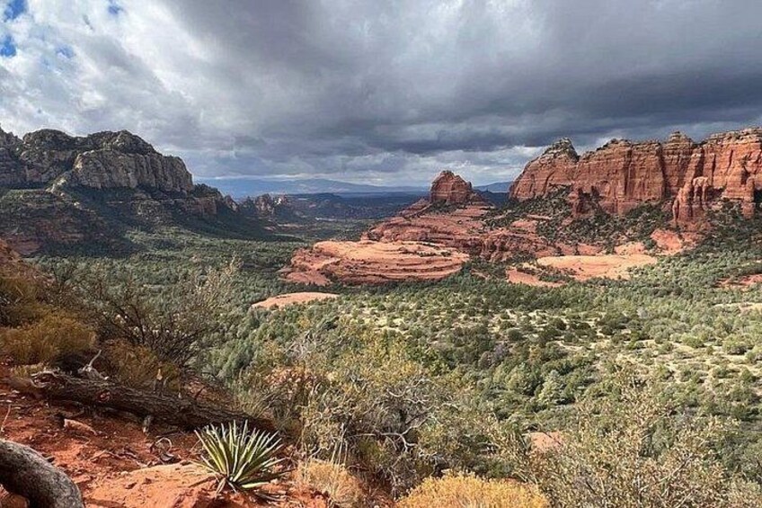 https://www.tripadvisor.com/PreviewImage?p=11&img=339513600 1