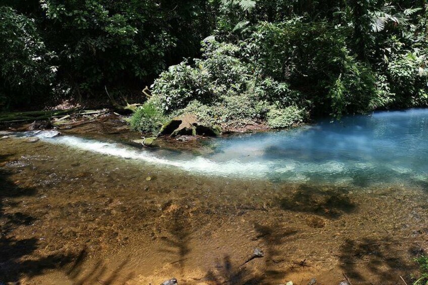 Rainforest Hiking to Rio Celeste Waterfall Private Tour