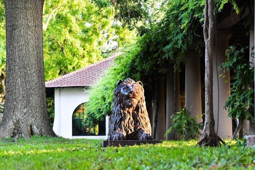 A bronze lion statue in a park with trees and a building in the background. 1