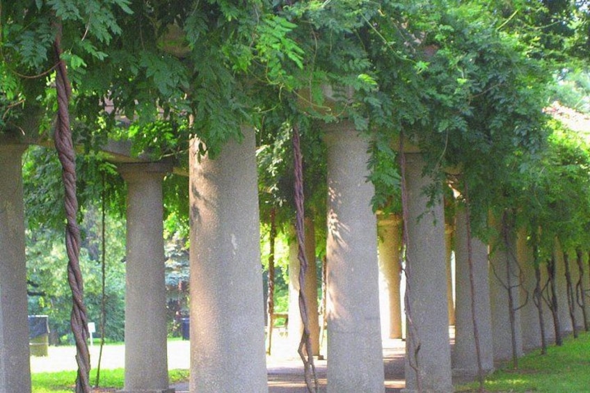 A row of columns with vines growing on them, set in a park-like environment. 2