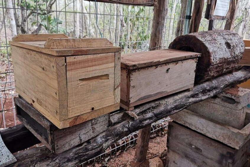 Modern beehives