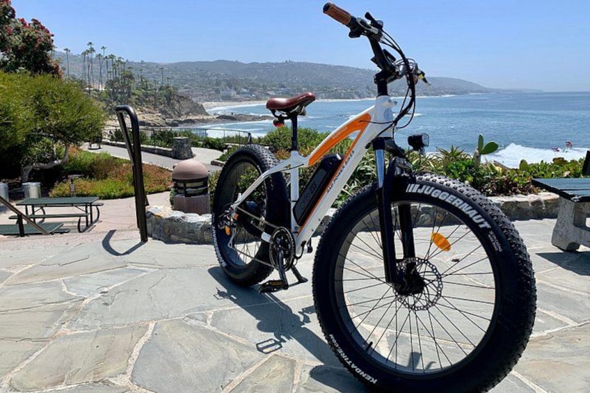 Our Fat Tire Bikes Make the ride smooth 5