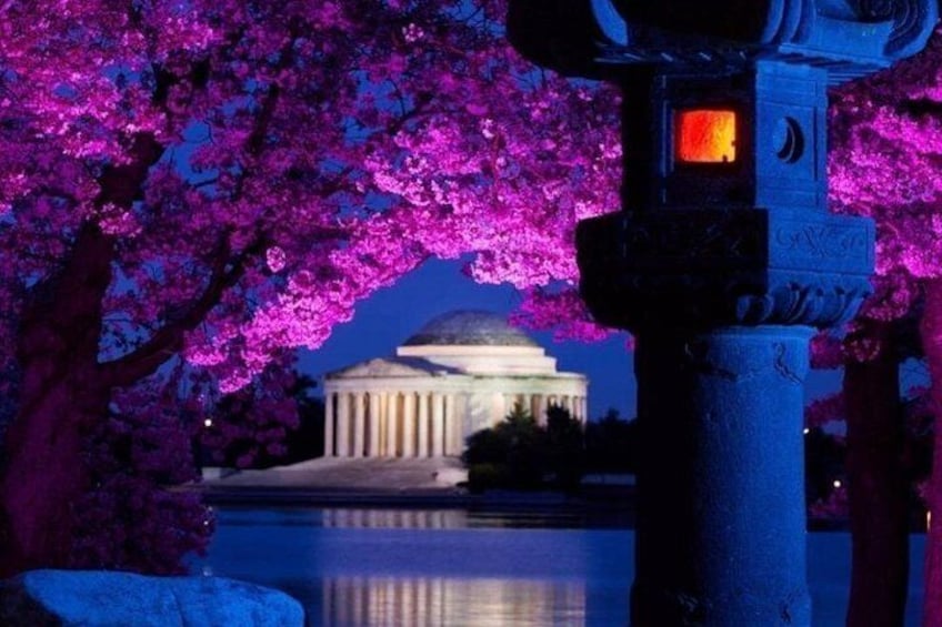 Washington, D.C. Private 4-Hour Day Tour 2