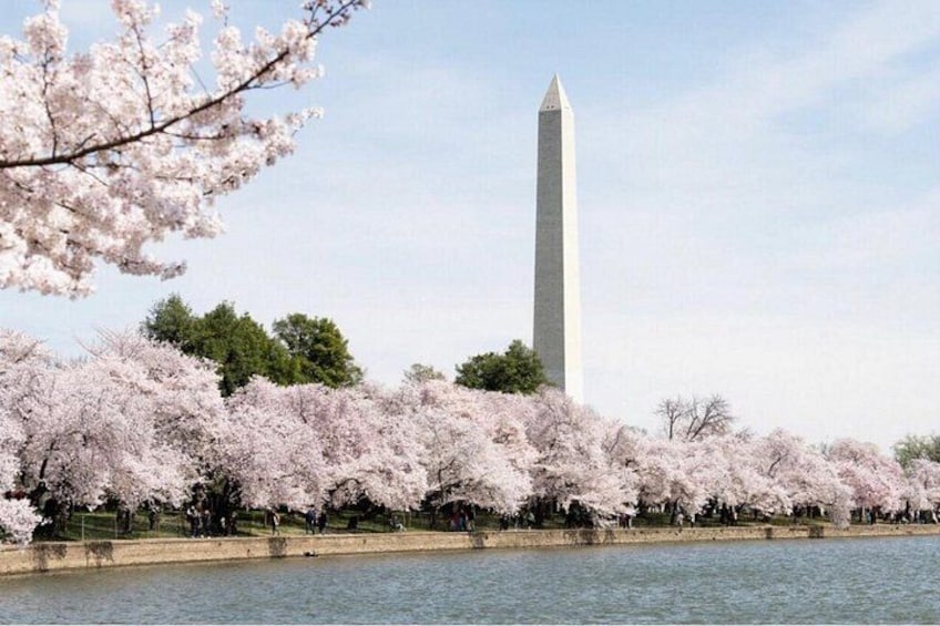 Washington, D.C. Private 4-Hour Day Tour 4