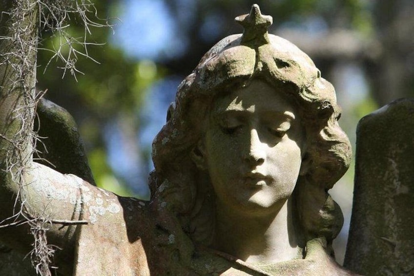 Bonaventure Cemetery Walking Tour with Transportation 5