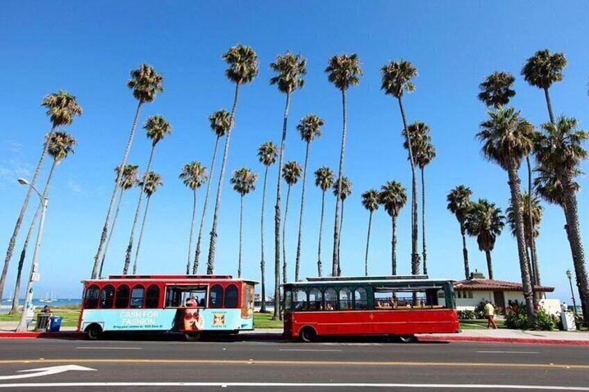 Two red buses on a road with palm trees in the background. 2