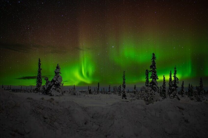 Northern Lights Tours and Lifetime Adventure from Anchorage