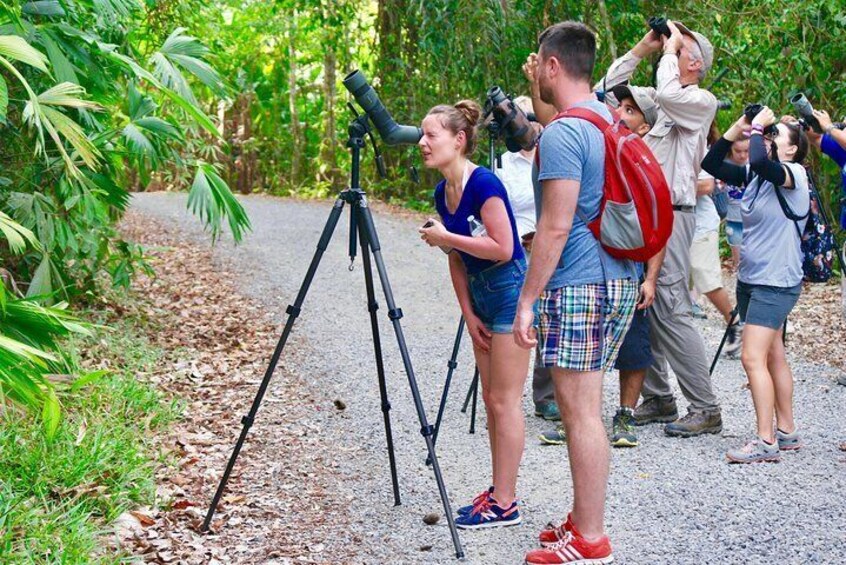 Manuel Antonio National Park Wildlife Tour