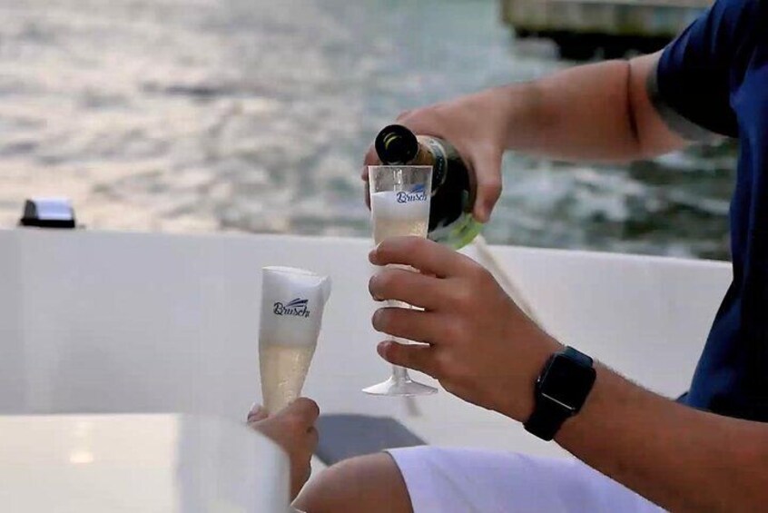 2-Hour Miami Private Boat Tour: Skyline & Star Island 5