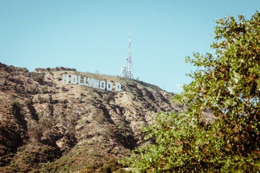 Le panneau Hollywood, perché sur une colline où la végétation est clairsemée. 2