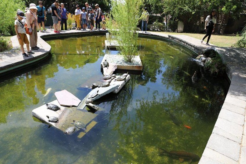 Are you ready to see the secret pond with "The Ninja Turtles" ? 3